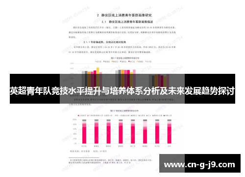 英超青年队竞技水平提升与培养体系分析及未来发展趋势探讨