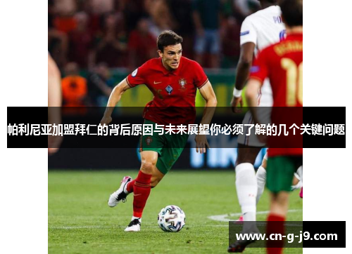 帕利尼亚加盟拜仁的背后原因与未来展望你必须了解的几个关键问题 帕利尼亚加盟拜仁的背后原因与未来展望你必须了解的几个关键问题