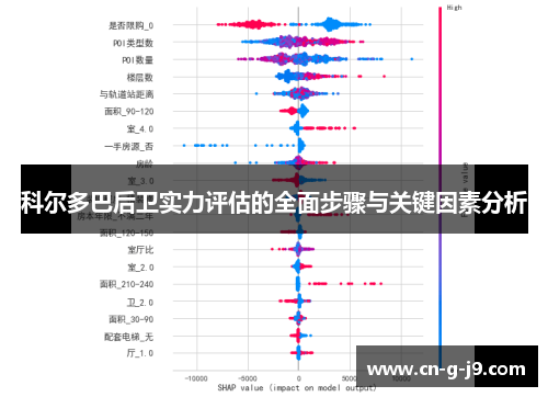 科尔多巴后卫实力评估的全面步骤与关键因素分析