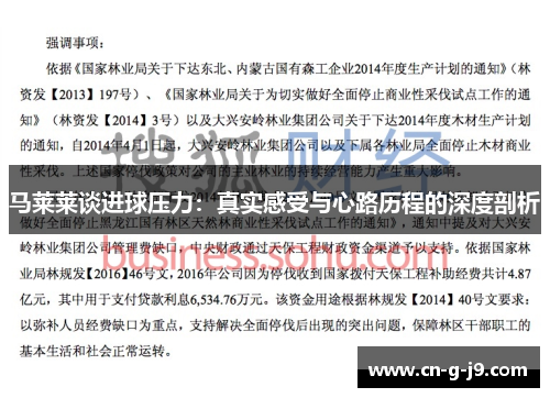 马莱莱谈进球压力：真实感受与心路历程的深度剖析