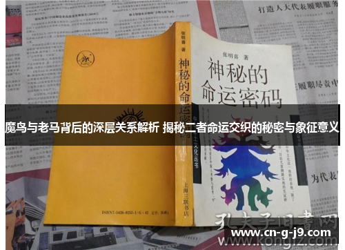 魔鸟与老马背后的深层关系解析 揭秘二者命运交织的秘密与象征意义