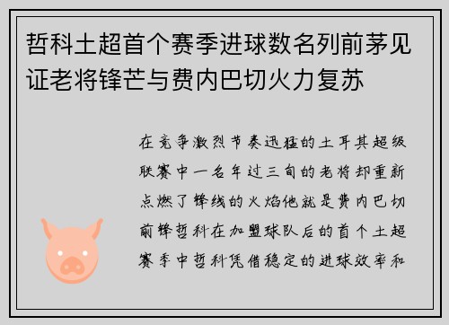 哲科土超首个赛季进球数名列前茅见证老将锋芒与费内巴切火力复苏
